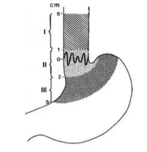 1574839176118858.png 搜狗截图19年11月27日1519_7.png