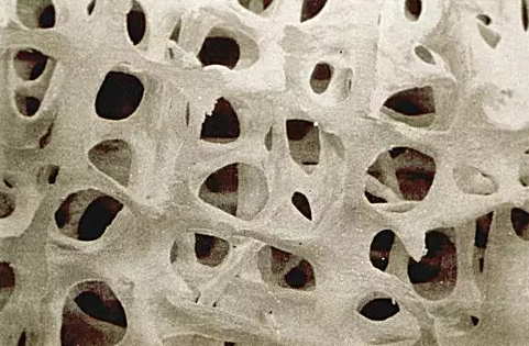 1575339984497989.png 搜狗截图19年12月03日1023_2.png