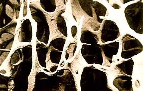 1575340000918955.png 搜狗截图19年12月03日1023_3.png