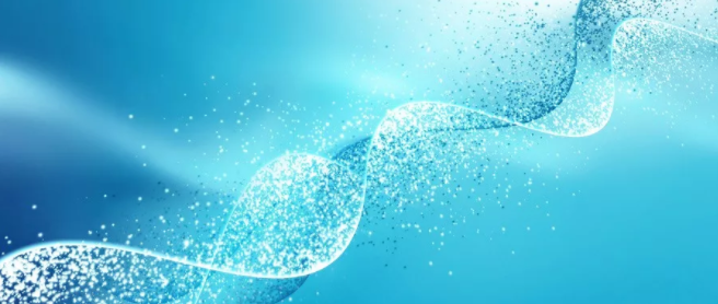 1575346583275406.png 搜狗截图19年12月03日1214_9.png