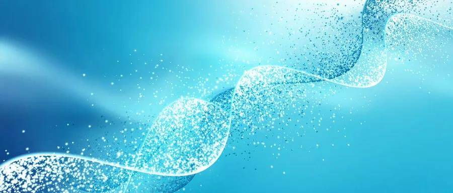 1575352787866218.jpg 1.jpg