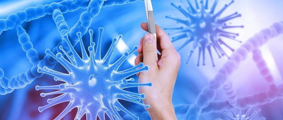 1575352803102037.jpg 3.jpg