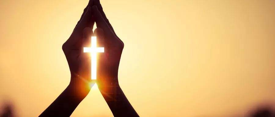 1575352899223126.jpg 8.jpg