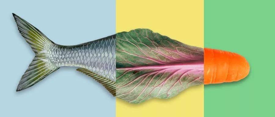 1575880122652545.jpeg 640-6.jpeg