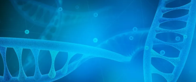 1575946535565470.png 搜狗截图19年12月10日1054_4.png