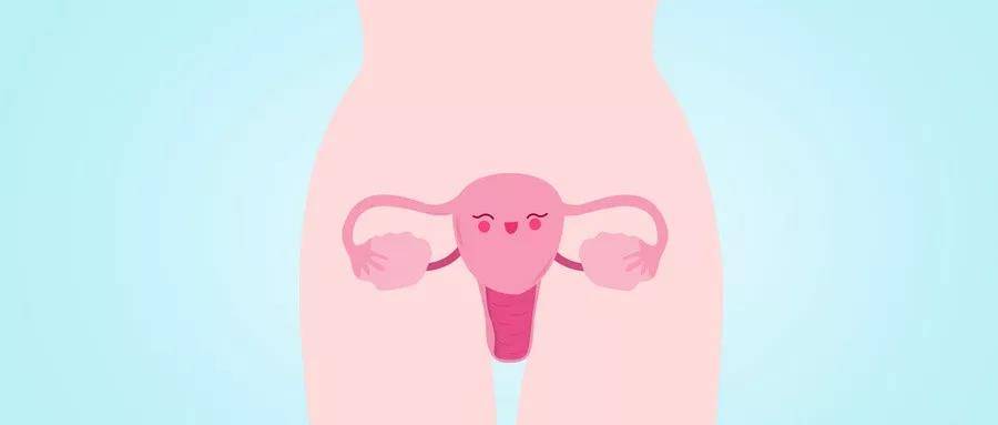 1576118575737758.jpg 15.jpg