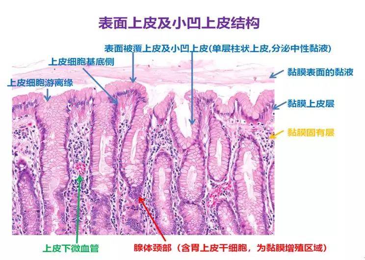 1576638235660136.jpg 2.jpg