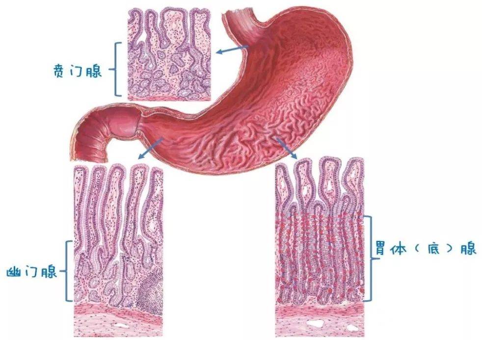 1576638318952998.jpg 3.jpg