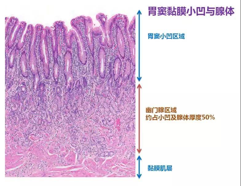 1576638372881789.jpg 7.jpg