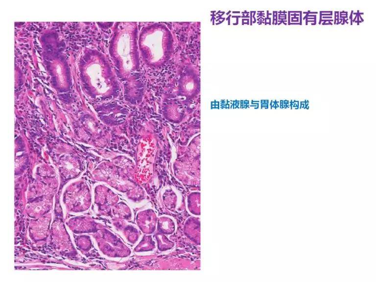 1576638382457379.jpg 8.jpg