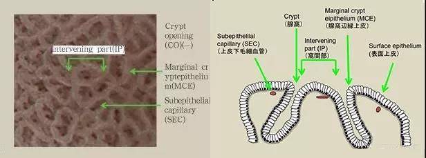 1576638404217467.jpg 10.jpg