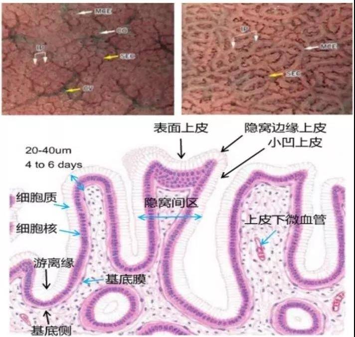 1576638415486508.jpg 11.jpg