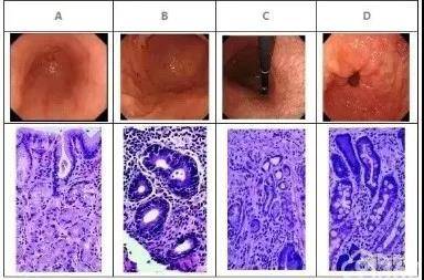 1576638456718957.jpg 12.jpg