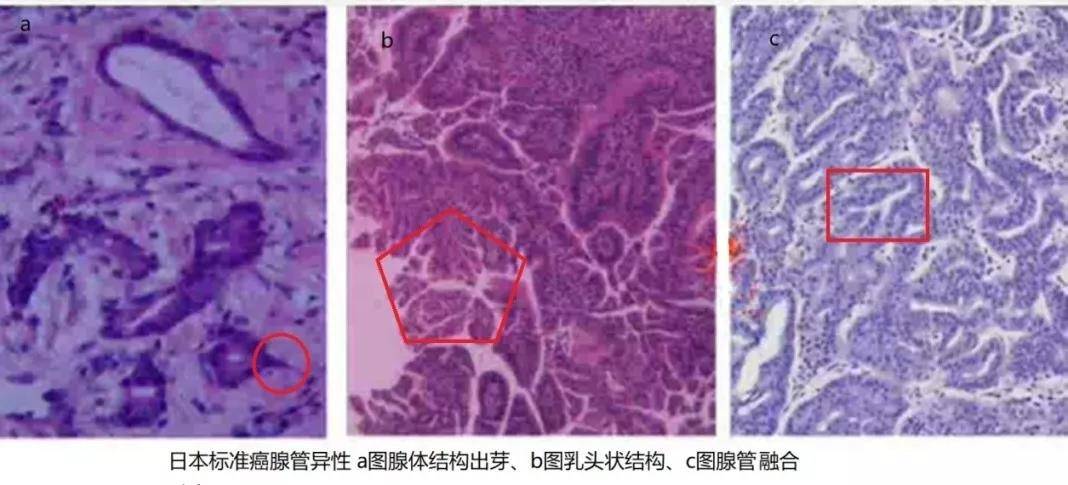 1576638521972544.jpg 16.jpg