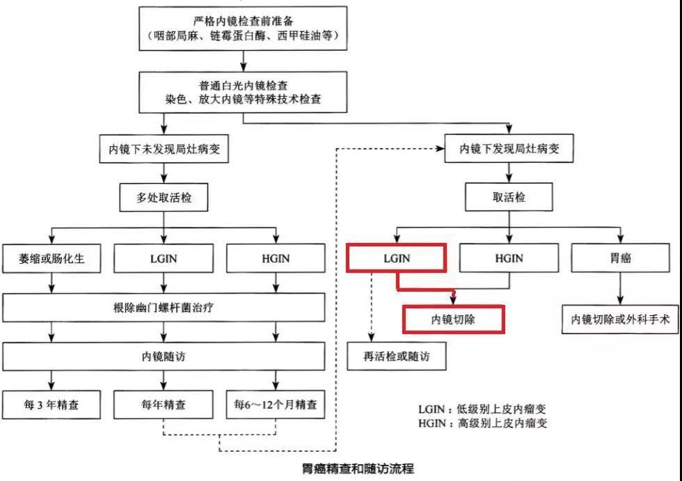 图16 选自胃癌诊疗规范(2018年版)胃癌精查和随访流程 六 胃癌病理