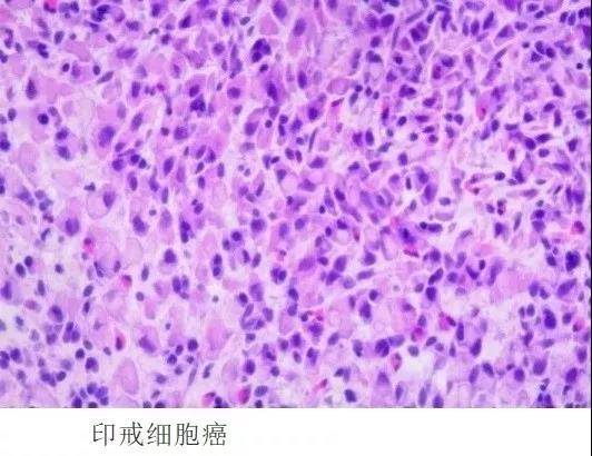 1576638647776049.jpg 24.jpg