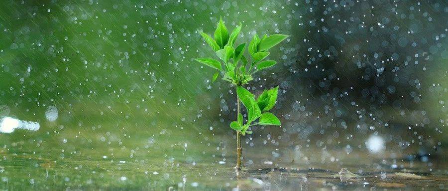 1577504482431709.jpg 2.jpg