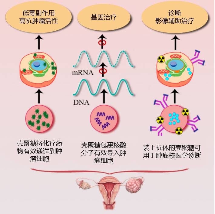 1577505018473640.jpg 9.jpg