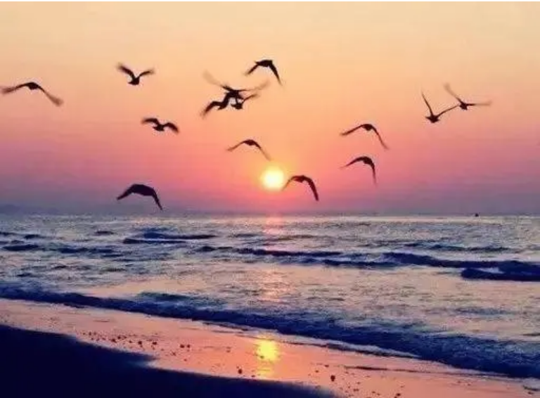 1578449024853981.png 屏幕快照 2020-01-08 上午10.03.26.png