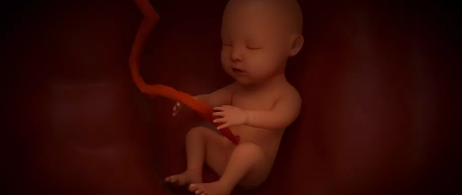 1579402580556826.png 搜狗截图20年01月19日1055_1.png