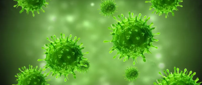 1579402846752892.png 搜狗截图20年01月19日1055_4.png