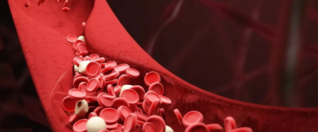 1579402858973020.png 搜狗截图20年01月19日1055_5.png