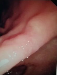 1579405094381844.png 搜狗截图20年01月19日1137_8.png