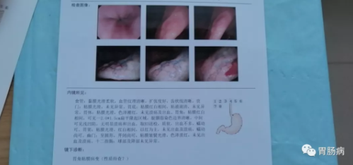 1579405169488822.png 搜狗截图20年01月19日1137_10.png