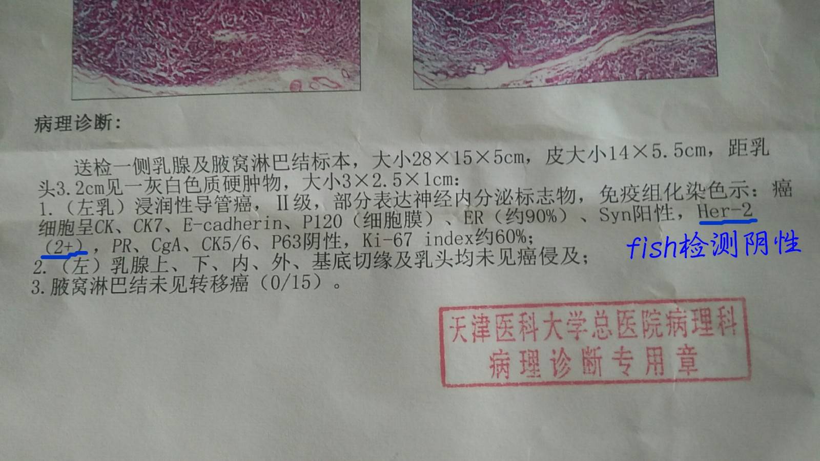 1585452862601275.jpg mmexport1566274432003_副本.jpg