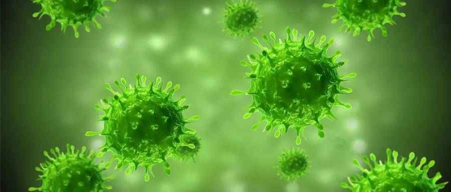 1585532370974798.jpg 2.jpg