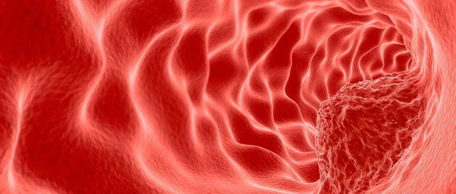 1585972096207837.jpg 1.jpg