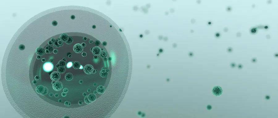 1585972225993295.jpg 6.jpg