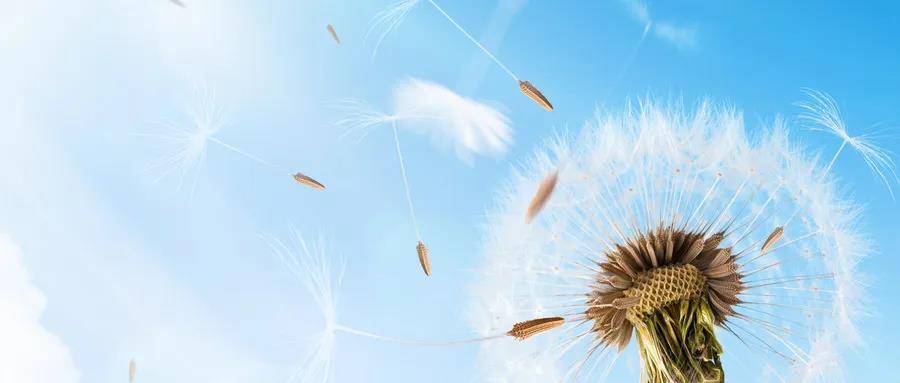 1588037179531107.jpg 1.jpg