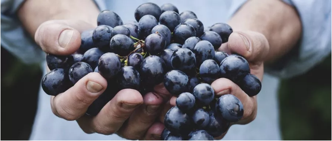 1589256073325481.png 69 葡萄.png