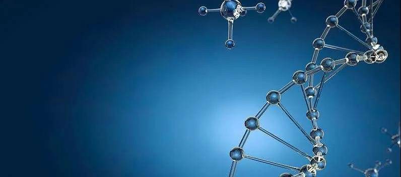 1589971552475254.jpg 1.jpg