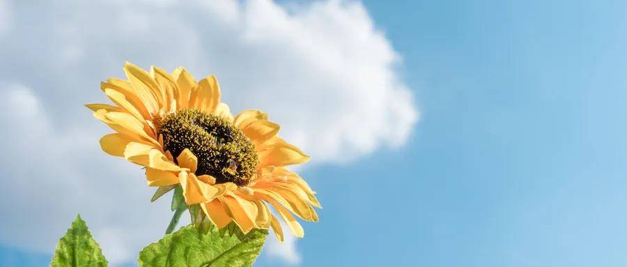 1592289280628014.jpg 5.jpg