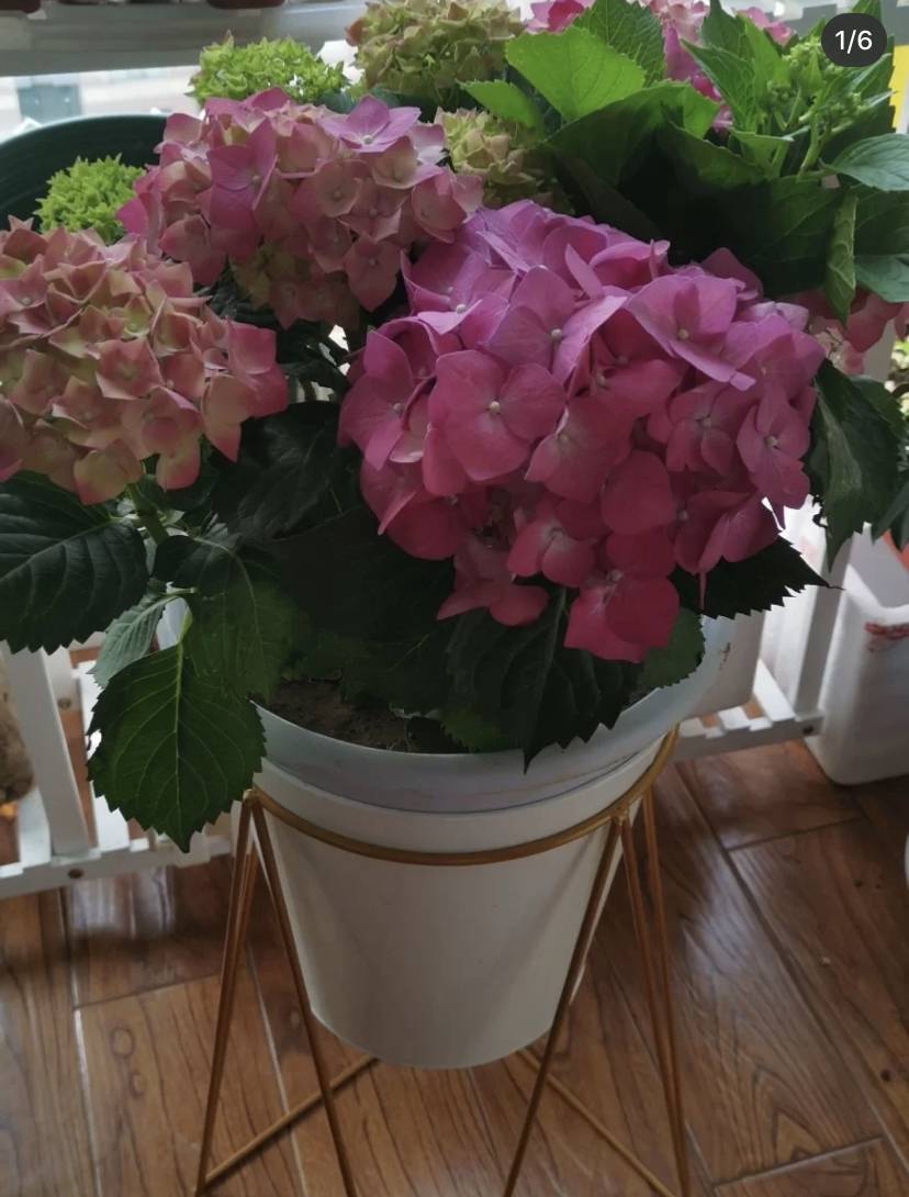 1592293690994507.jpg 微信图片_20200616154759.jpg