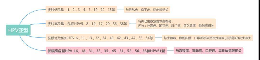 1592296707888987.jpg 1.jpg