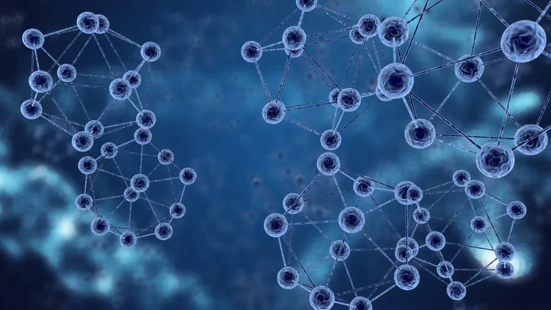 1593483842237202.jpg 640.webp (5).jpg