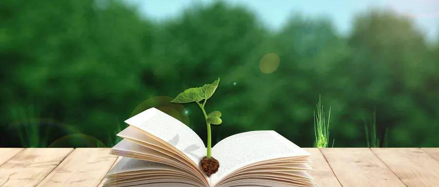 1593760914363746.jpg 11.jpg