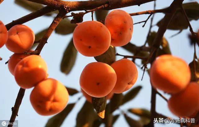 1594793434738553.jpg 916e71cc1db0bee7551fa4cfe80471d1.jpg