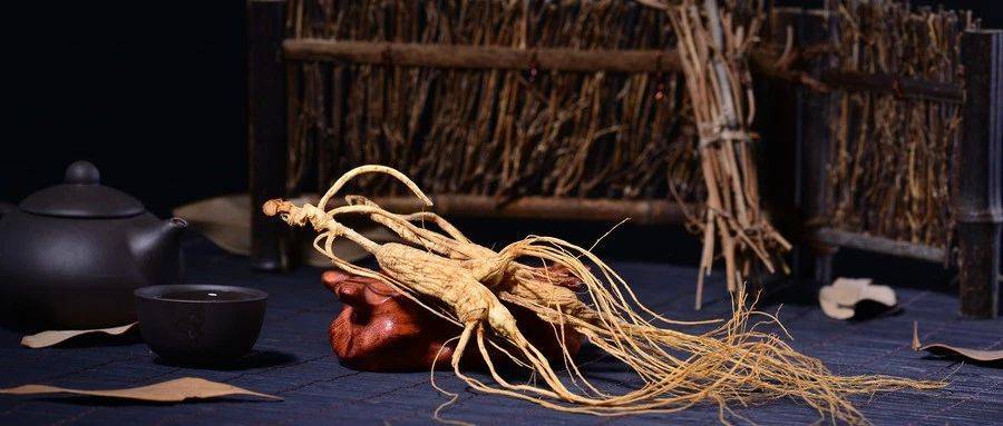 1595217773310424.jpg 360se_picture (1).jpg