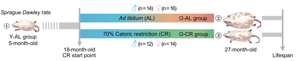 1595470494367793.jpg 3d4fbf9c03c1017f3a8bb278ad25bd64.jpg