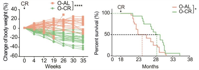 1595470510853928.jpg e0f1e17b88e6905df0057ea6fe912eff.jpg