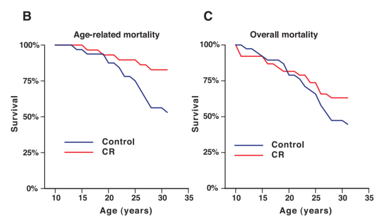 1595470534503755.jpg 1922aef144cf46125a161555f54e38bc.jpg