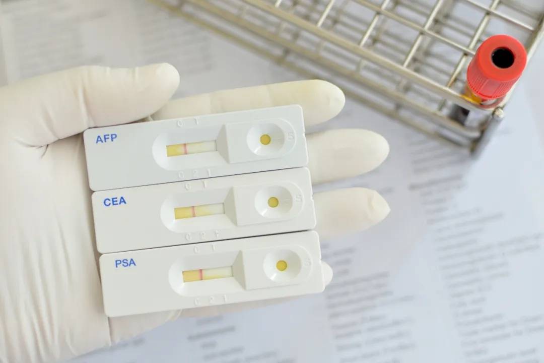 1595821448642595.jpg 640.webp (1).jpg