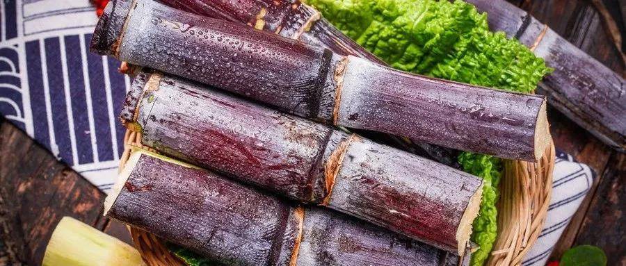 1597028902947671.jpg 27.jpg