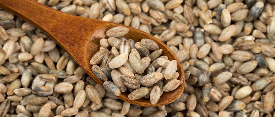 1597028984609794.jpg 1597028984609794.jpg