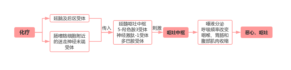 化疗导致呕吐示意图.jpg