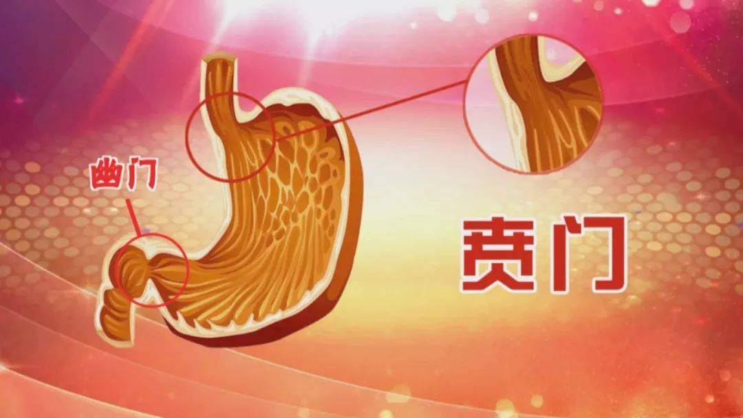 1597211944644876.jpg a50374a06007d1f3a479bff8267b07c6.jpg